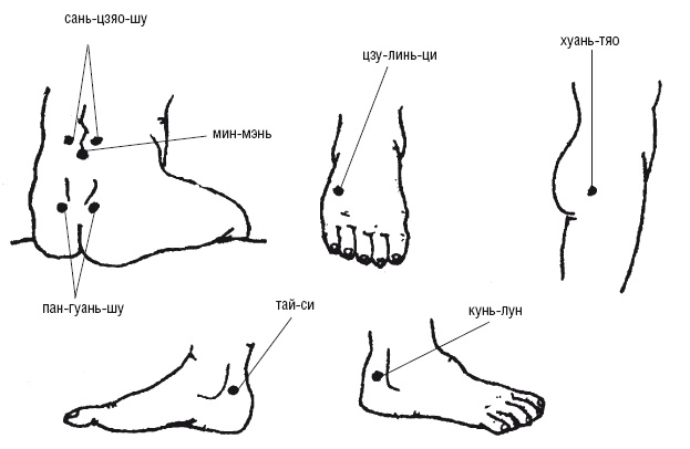 Иллюстрация к книге — Лечебные точки организма: нормализуем давление и облегчаем невралгию [i_053.jpg]