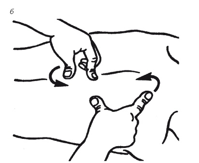 Иллюстрация к книге — Лечебные точки организма: нормализуем давление и облегчаем невралгию [i_058.jpg]