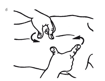 Иллюстрация к книге — Лечебные точки организма: нормализуем давление и облегчаем невралгию [i_061.jpg]