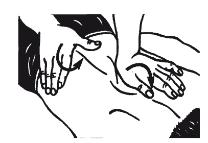 Иллюстрация к книге — Лечебные точки организма: нормализуем давление и облегчаем невралгию [i_063.jpg]