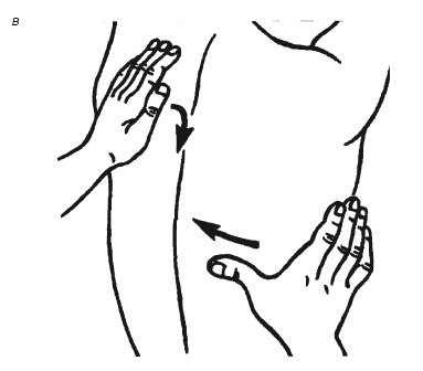 Иллюстрация к книге — Лечебные точки организма: нормализуем давление и облегчаем невралгию [i_065.jpg]