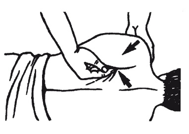 Иллюстрация к книге — Лечебные точки организма: нормализуем давление и облегчаем невралгию [i_068.jpg]