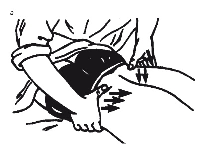 Иллюстрация к книге — Лечебные точки организма: нормализуем давление и облегчаем невралгию [i_069.jpg]