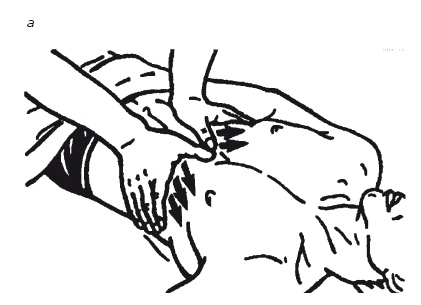 Иллюстрация к книге — Лечебные точки организма: нормализуем давление и облегчаем невралгию [i_071.jpg]