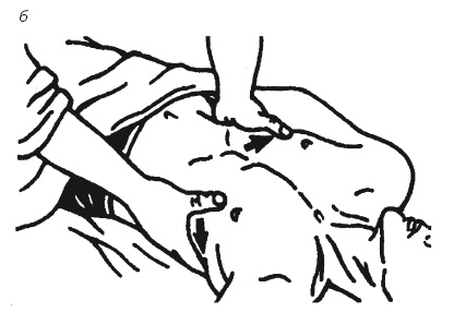 Иллюстрация к книге — Лечебные точки организма: нормализуем давление и облегчаем невралгию [i_072.jpg]