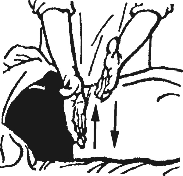 Иллюстрация к книге — Целительные точки организма. Косметический и омолаживающий массаж [i_012.jpg]