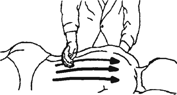 Иллюстрация к книге — Целительные точки организма. Косметический и омолаживающий массаж [i_017.jpg]