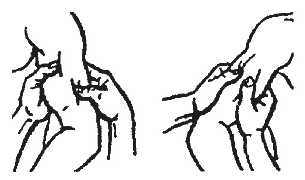 Иллюстрация к книге — Целительные точки организма. Косметический и омолаживающий массаж [i_029.jpg]