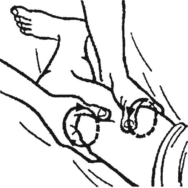 Иллюстрация к книге — Целительные точки организма. Косметический и омолаживающий массаж [i_030.jpg]