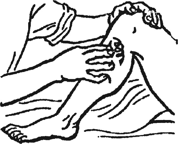 Иллюстрация к книге — Целительные точки организма. Косметический и омолаживающий массаж [i_039.jpg]