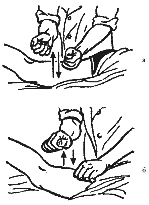 Иллюстрация к книге — Целительные точки организма. Косметический и омолаживающий массаж [i_045.jpg]