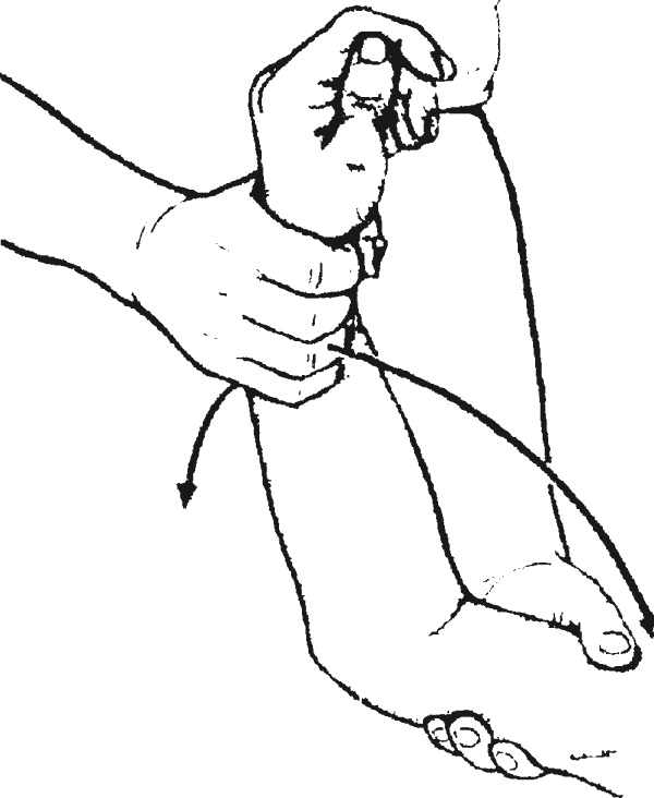 Иллюстрация к книге — Целительные точки организма. Косметический и омолаживающий массаж [i_049.jpg]