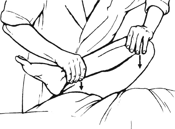 Иллюстрация к книге — Целительные точки организма. Косметический и омолаживающий массаж [i_054.jpg]