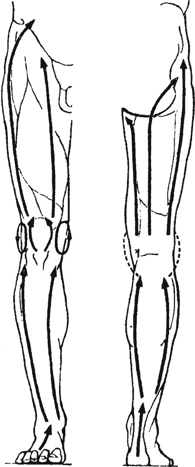 Иллюстрация к книге — Целительные точки организма. Косметический и омолаживающий массаж [i_062.jpg]
