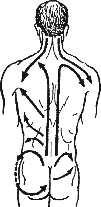 Иллюстрация к книге — Целительные точки организма. Косметический и омолаживающий массаж [i_063.jpg]