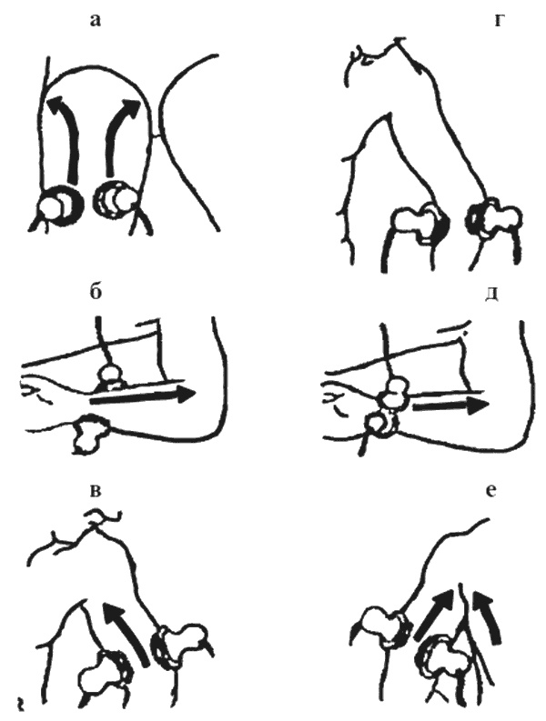 Иллюстрация к книге — Целительные точки организма. Косметический и омолаживающий массаж [i_067.jpg]