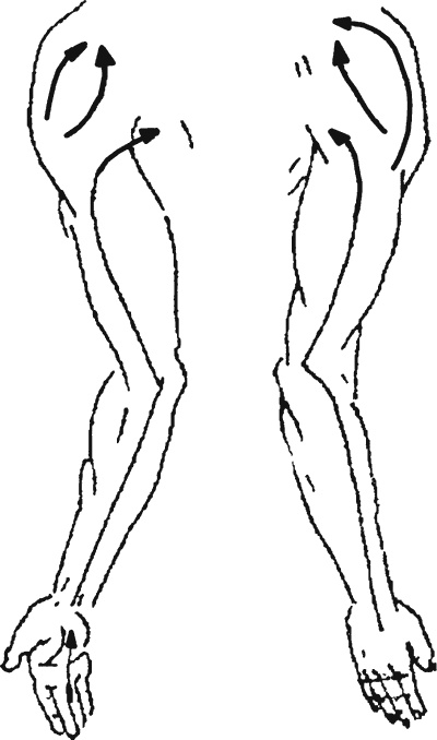 Иллюстрация к книге — Целительные точки организма. Косметический и омолаживающий массаж [i_072.jpg]