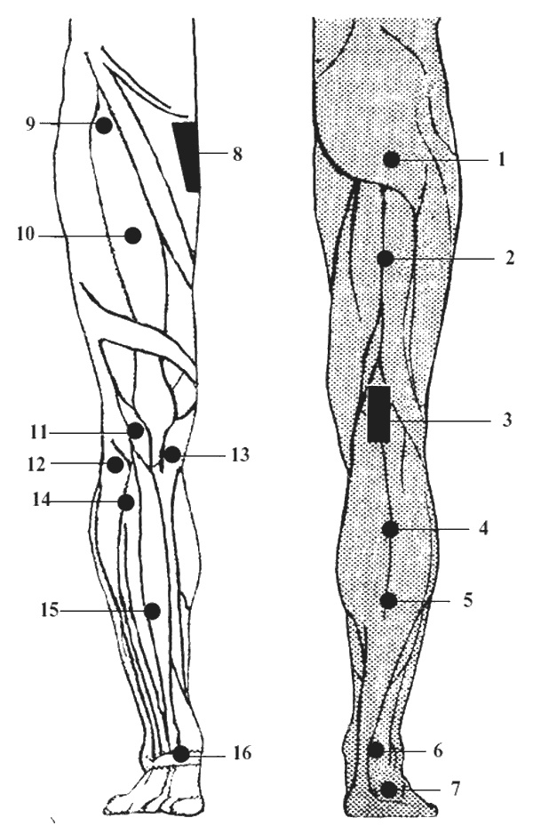 Иллюстрация к книге — Целительные точки организма. Косметический и омолаживающий массаж [i_080.jpg]