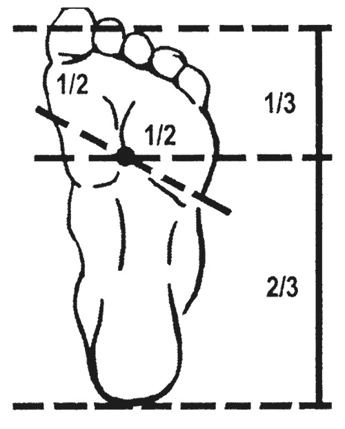 Иллюстрация к книге — Целительные точки организма. Косметический и омолаживающий массаж [i_100.jpg]