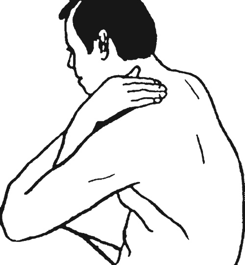 Иллюстрация к книге — Целительные точки организма. Косметический и омолаживающий массаж [i_105.jpg]