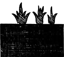 Иллюстрация к книге — Империя ацтеков. Таинственные ритуалы древних [i_041.jpg]