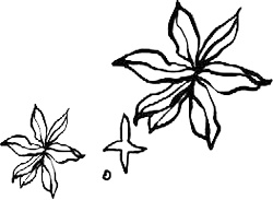 Иллюстрация к книге — Золотой стриж [i_023.jpg]