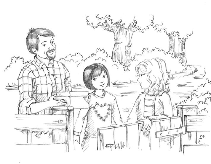 Иллюстрация к книге — Совёнок Матильда, или Три добрых дела [i_003.jpg]