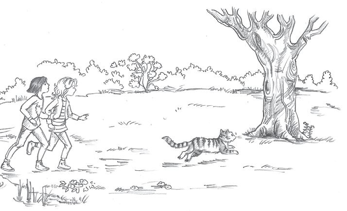 Иллюстрация к книге — Совёнок Матильда, или Три добрых дела [i_007.jpg]