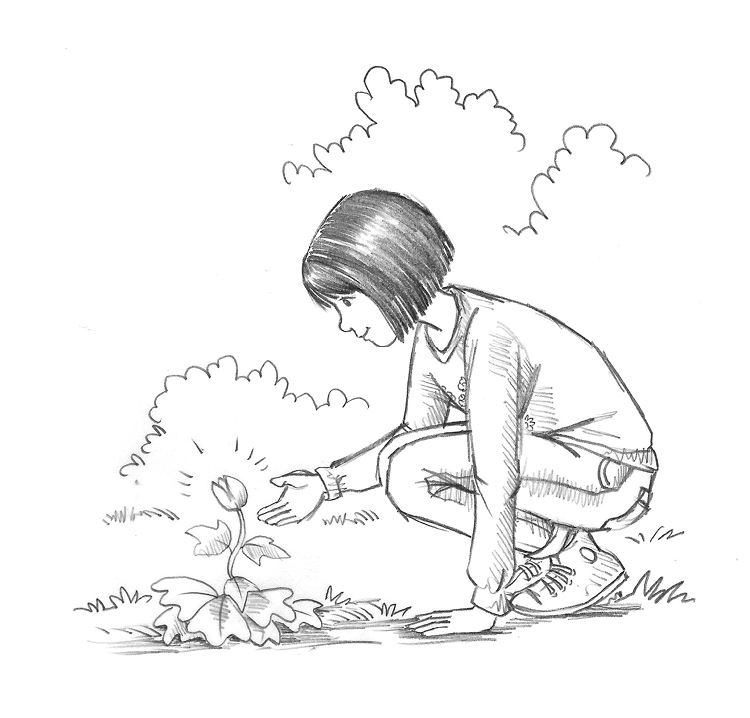 Иллюстрация к книге — Совёнок Матильда, или Три добрых дела [i_026.jpg]