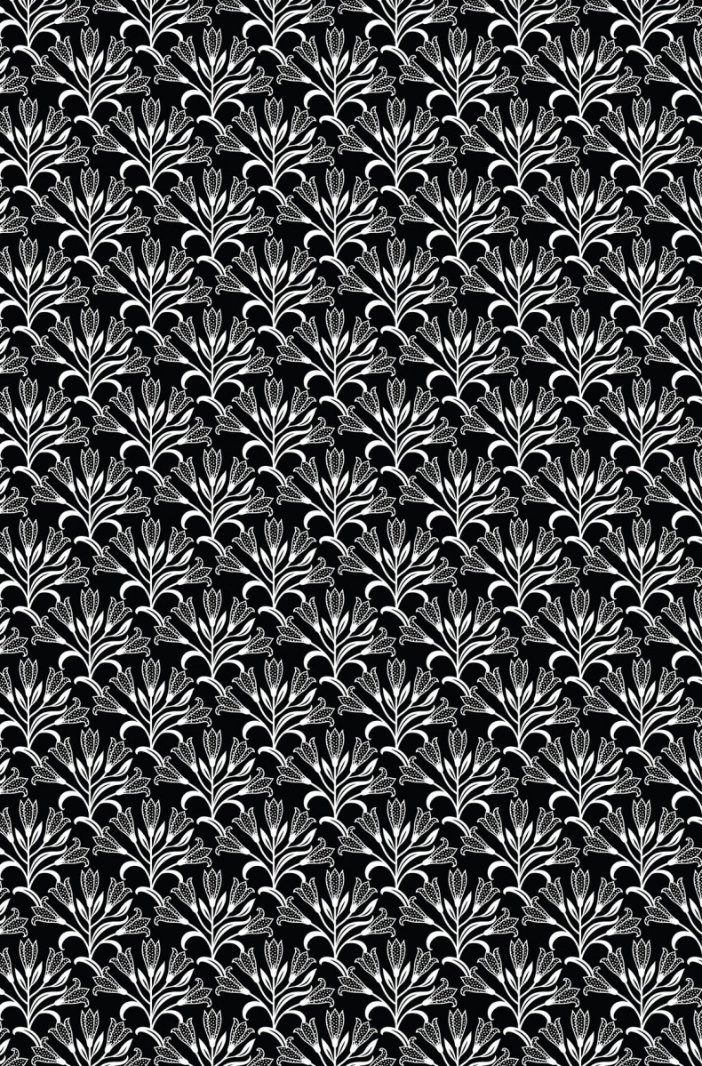 Иллюстрация к книге — Книга на книжной полке [i_001.jpg]