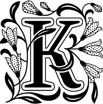 Иллюстрация к книге — Книга на книжной полке [i_003.jpg]