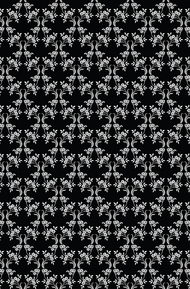 Иллюстрация к книге — Книга на книжной полке [i_018.jpg]