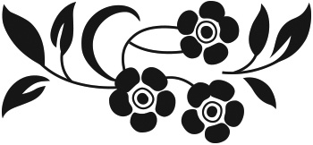 Иллюстрация к книге — Книга на книжной полке [i_024.jpg]