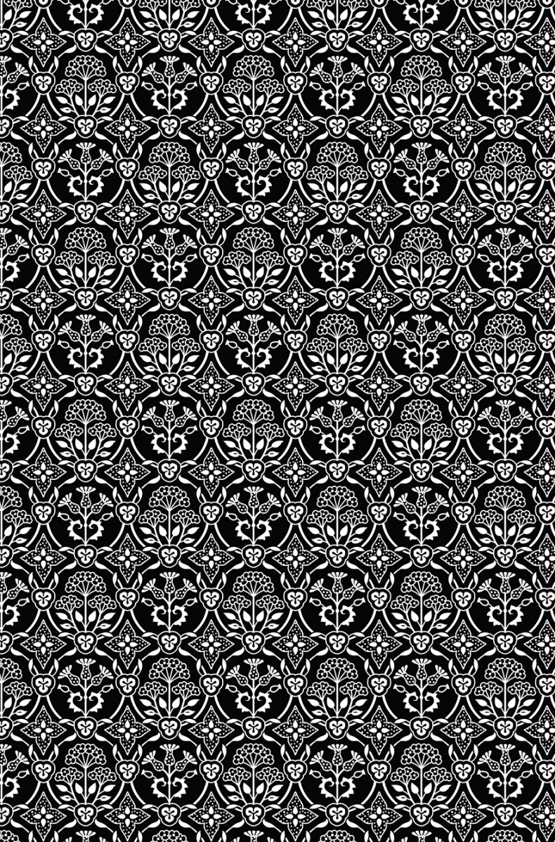 Иллюстрация к книге — Книга на книжной полке [i_025.jpg]