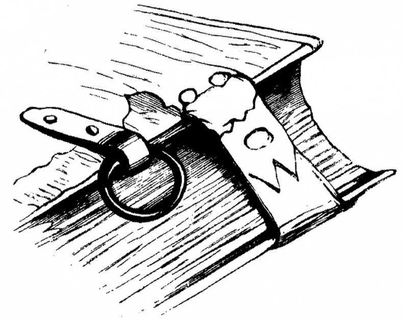 Иллюстрация к книге — Книга на книжной полке [i_030.jpg]