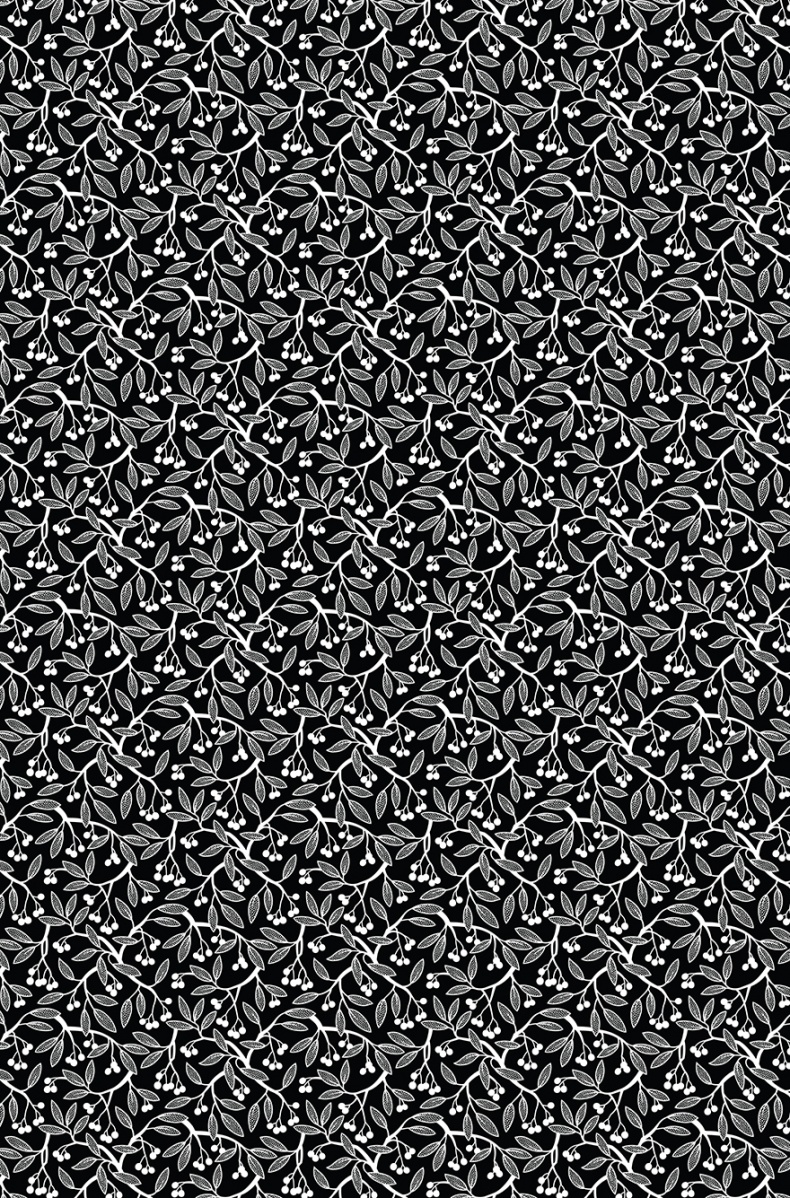 Иллюстрация к книге — Книга на книжной полке [i_038.jpg]