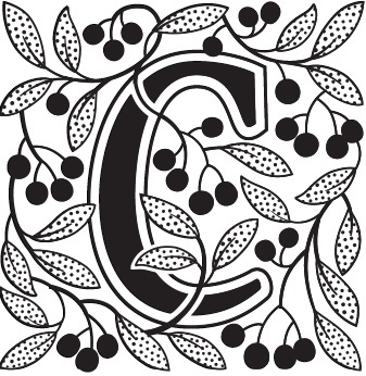 Иллюстрация к книге — Книга на книжной полке [i_040.jpg]