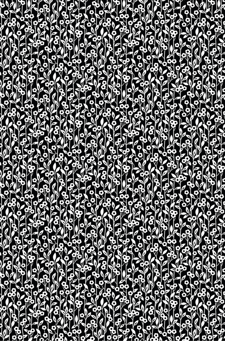 Иллюстрация к книге — Книга на книжной полке [i_051.jpg]