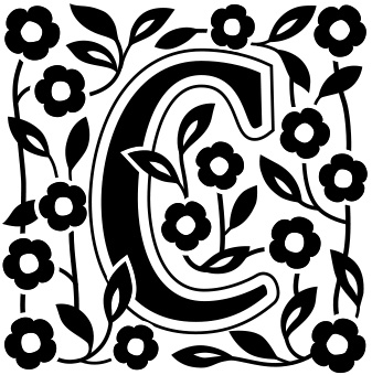 Иллюстрация к книге — Книга на книжной полке [i_053.jpg]