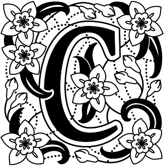 Иллюстрация к книге — Книга на книжной полке [i_090.jpg]