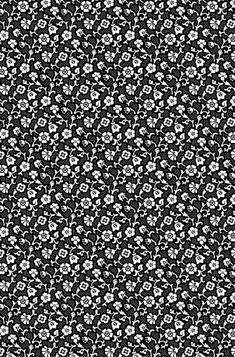 Иллюстрация к книге — Книга на книжной полке [i_107.jpg]