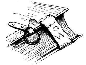 Иллюстрация к книге — Книга на книжной полке [i_127.jpg]