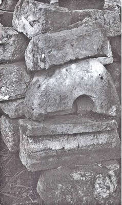 Иллюстрация к книге — День, когда явились боги [i_019.jpg]