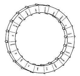 Иллюстрация к книге — День, когда явились боги [i_063.jpg]