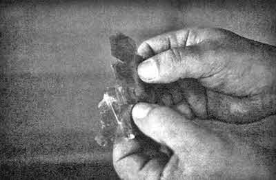 Иллюстрация к книге — День, когда явились боги [i_101.jpg]