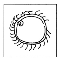 Иллюстрация к книге — Пришельцы из вселенной [i_028.jpg]