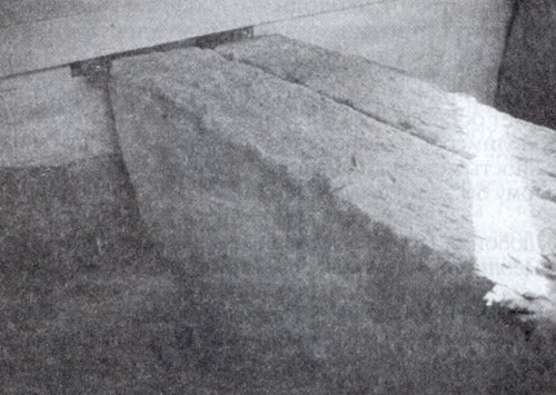 Иллюстрация к книге — Пришельцы из вселенной [i_036.jpg]