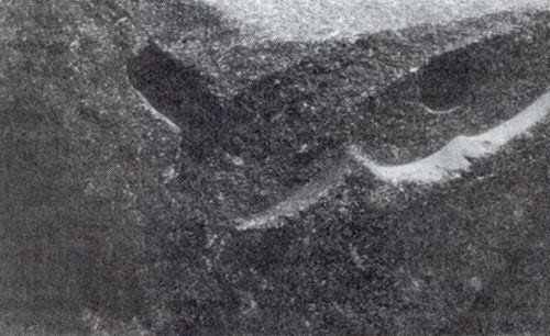 Иллюстрация к книге — Пришельцы из вселенной [i_037.jpg]