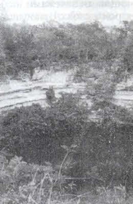 Иллюстрация к книге — Пришельцы из вселенной [i_104.jpg]