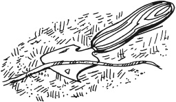 Иллюстрация к книге — Справочник мастера отделочных работ [_99.jpg]